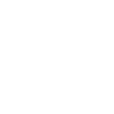 Home Icon